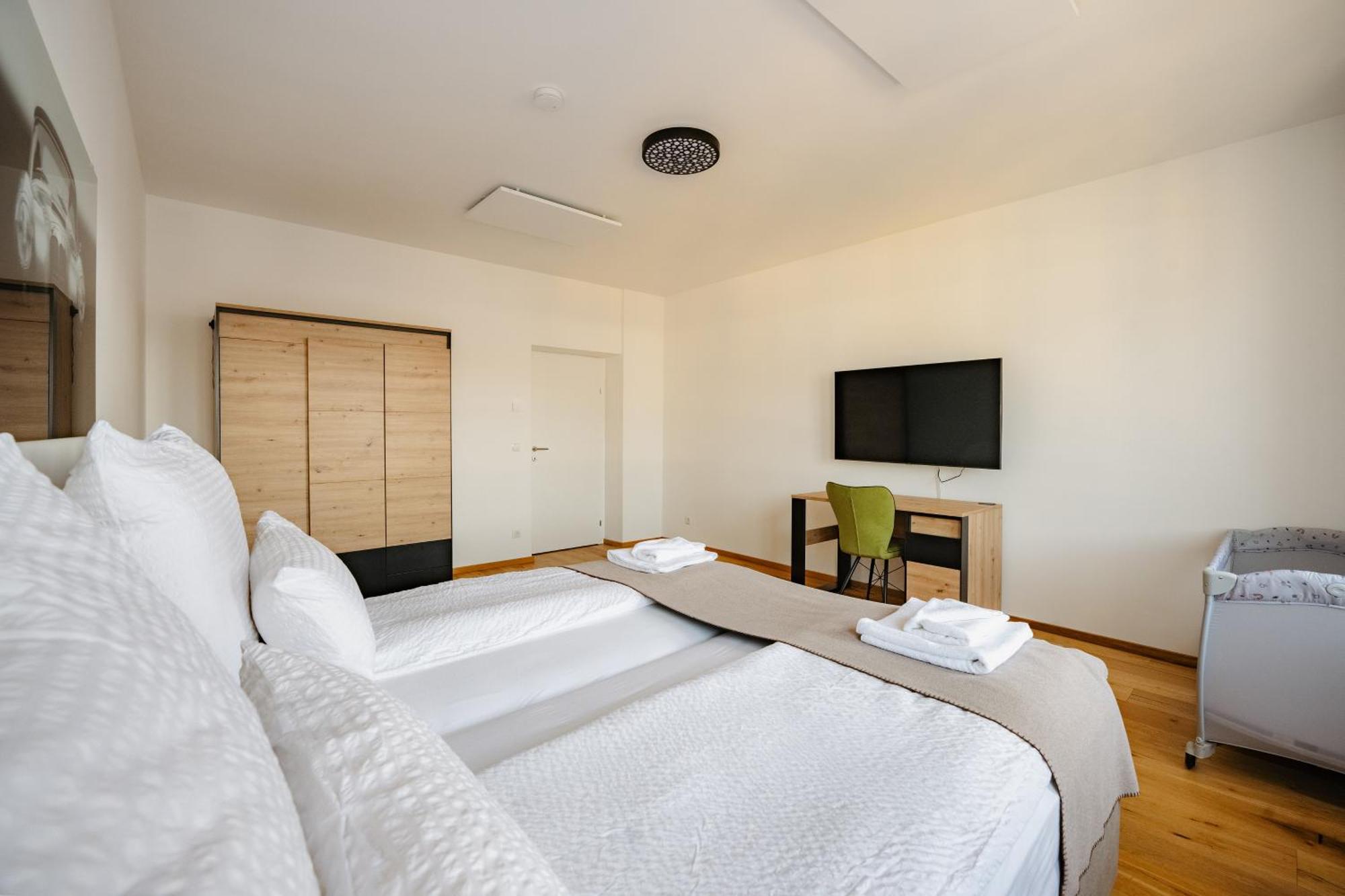 Tamliving Center Luxury 4 Rooms Smart Tv Kitchen Great View Graz Exteriör bild
